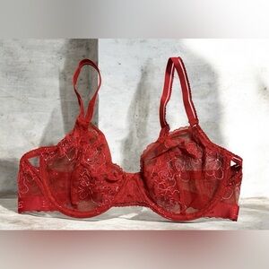 Lounge Selina Red Lace Bra 34d